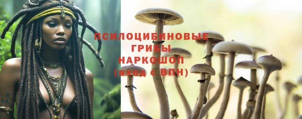 МДМА Богородицк
