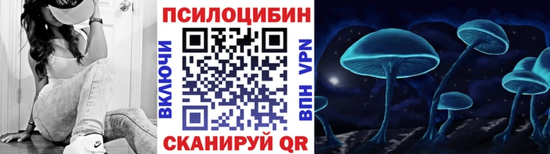 Галлюциногенные грибы Psilocybine cubensis Армавир